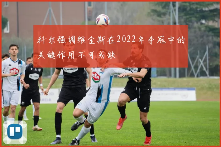 科尔强调维金斯在2022年夺冠中的关键作用不可或缺