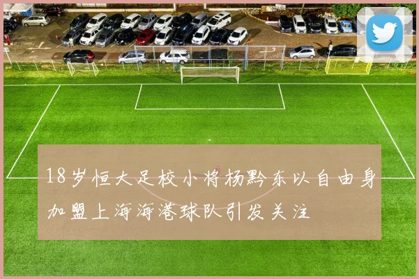 18岁恒大足校小将杨黔东以自由身加盟上海海港球队引发关注