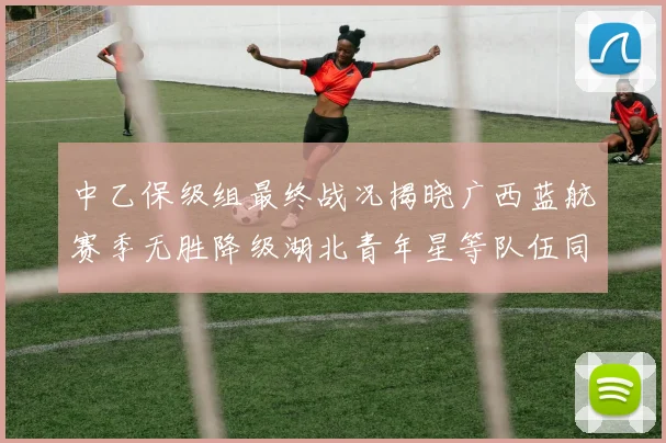 中乙保级组最终战况揭晓广西蓝航赛季无胜降级湖北青年星等队伍同遭降级